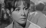 Hénia Suchar - 1966