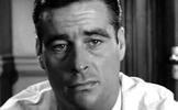 Robert Webber