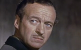 David Niven