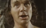 Michael Palin
