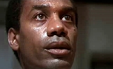 Joe Morton